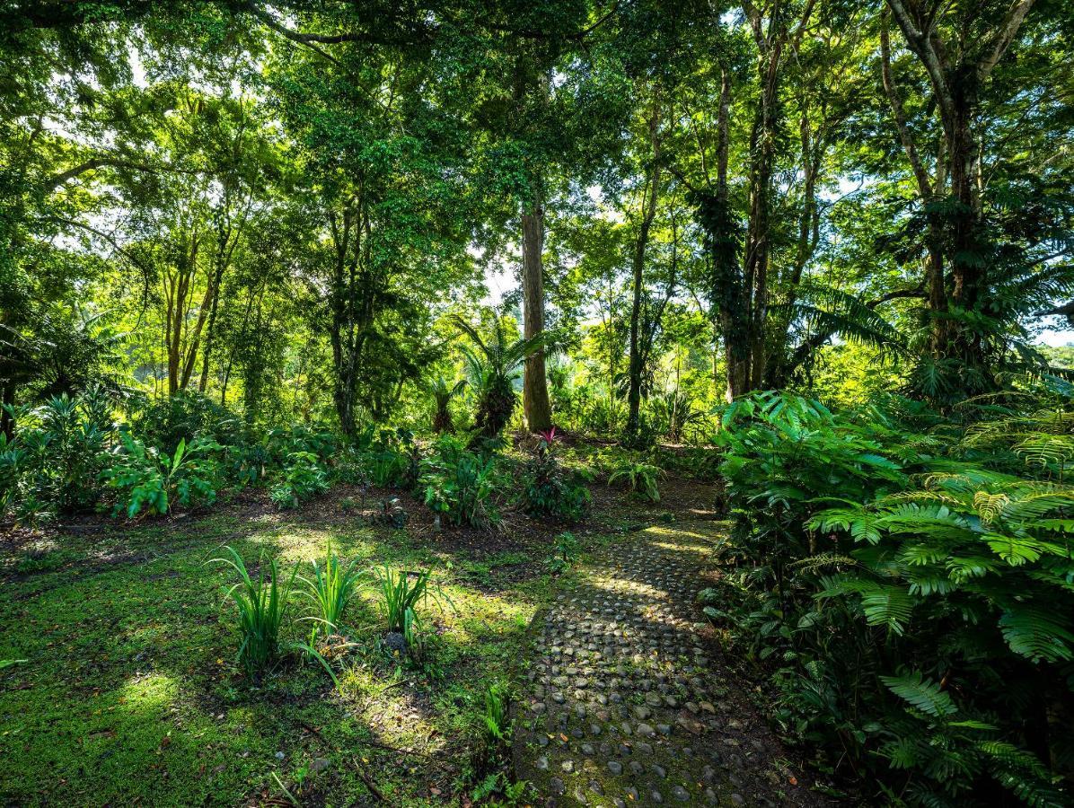 Private Villa On 2-Acres Of Jungle Garden & Pool Manzanillo  Eksteriør bilde