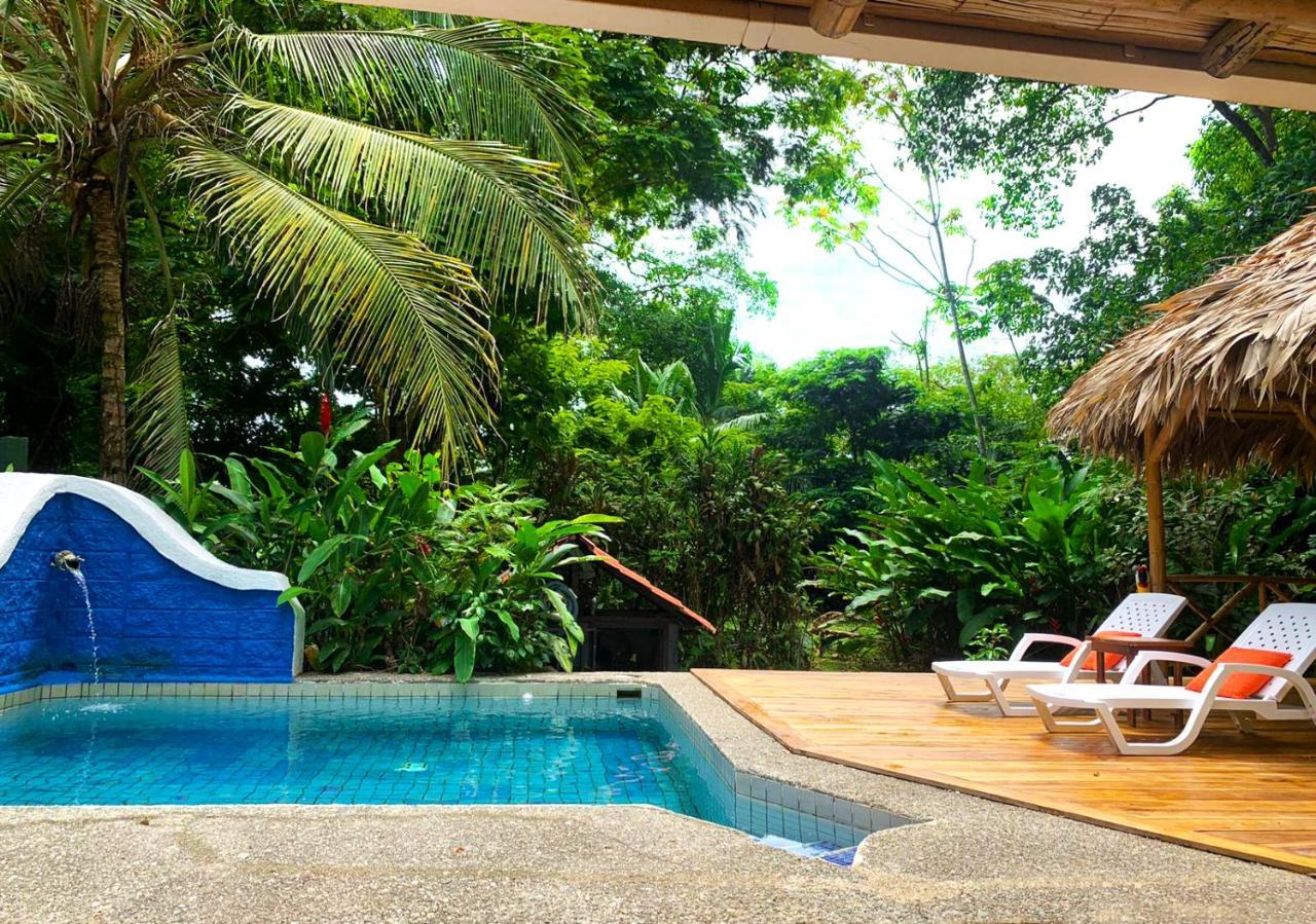Private Villa On 2-Acres Of Jungle Garden & Pool Manzanillo  Eksteriør bilde